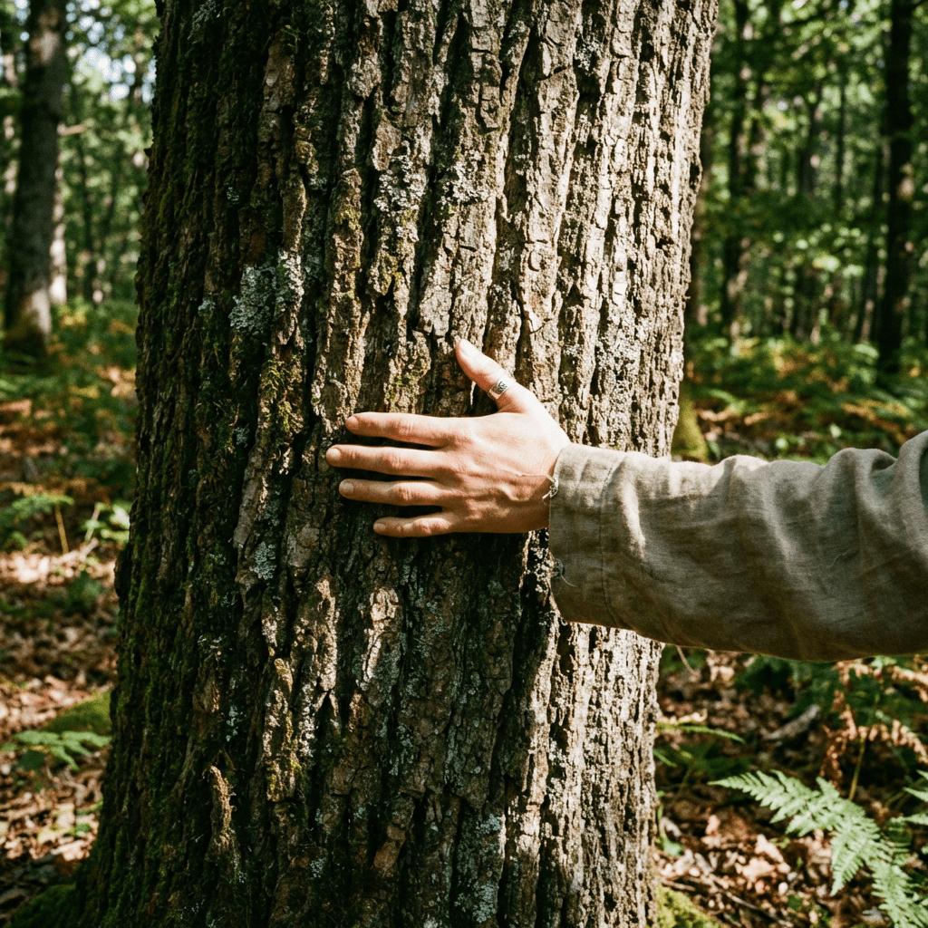A hand touching the rough, mossy bark of a large tree in a sunny forest.